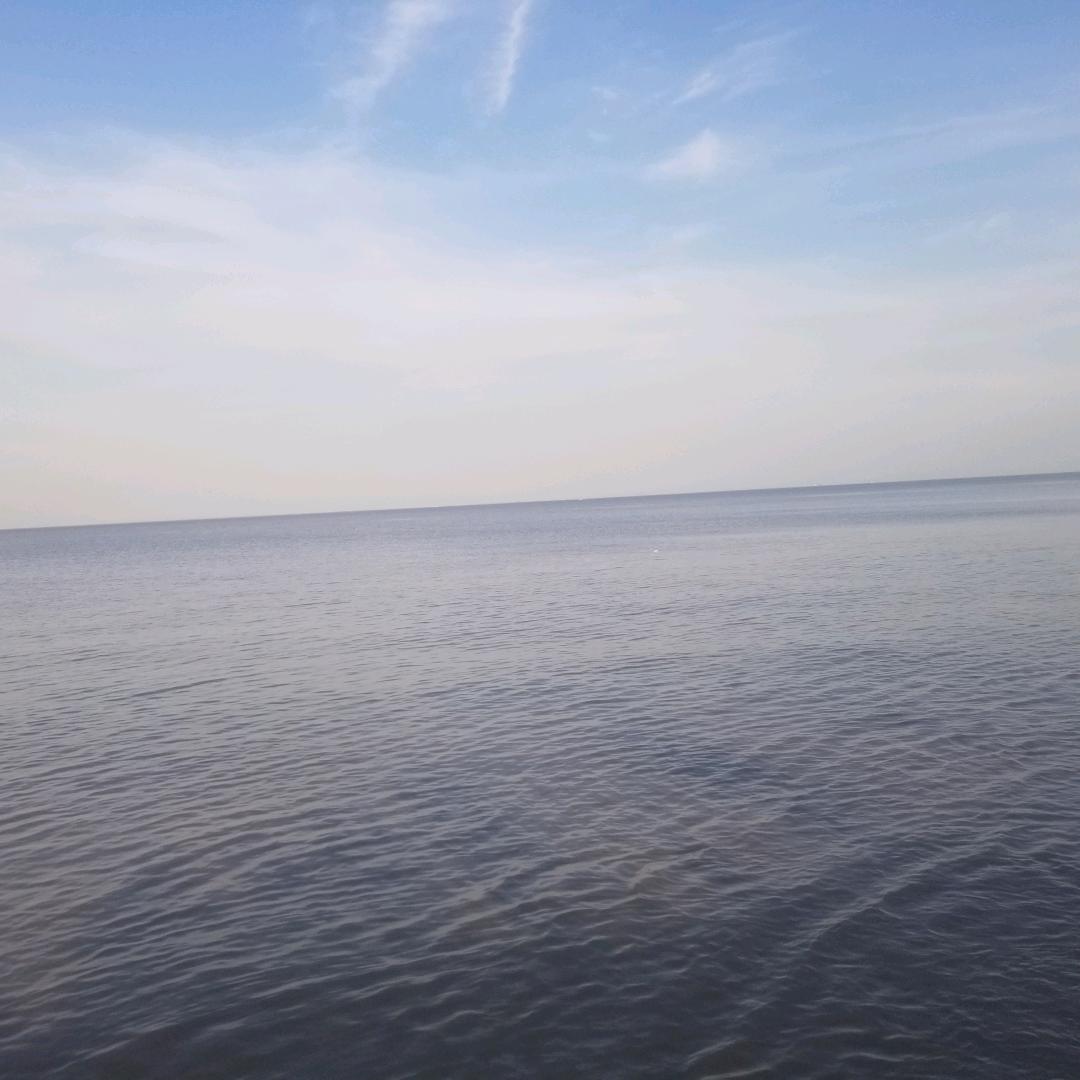 难得糊涂23795