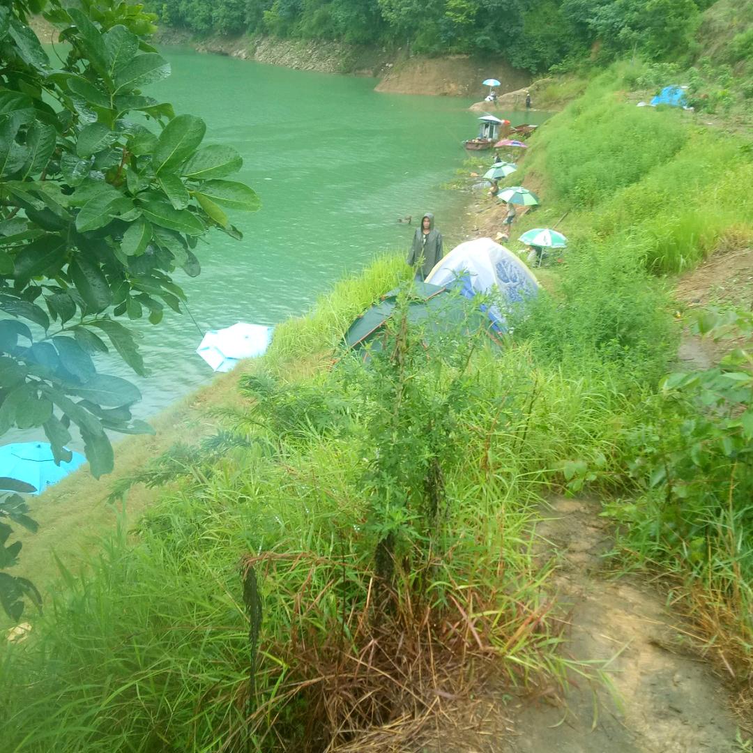 二滩钓鱼接待田三妹