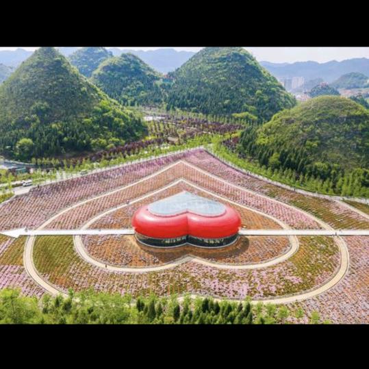顺🦅理🦅陈🦅张