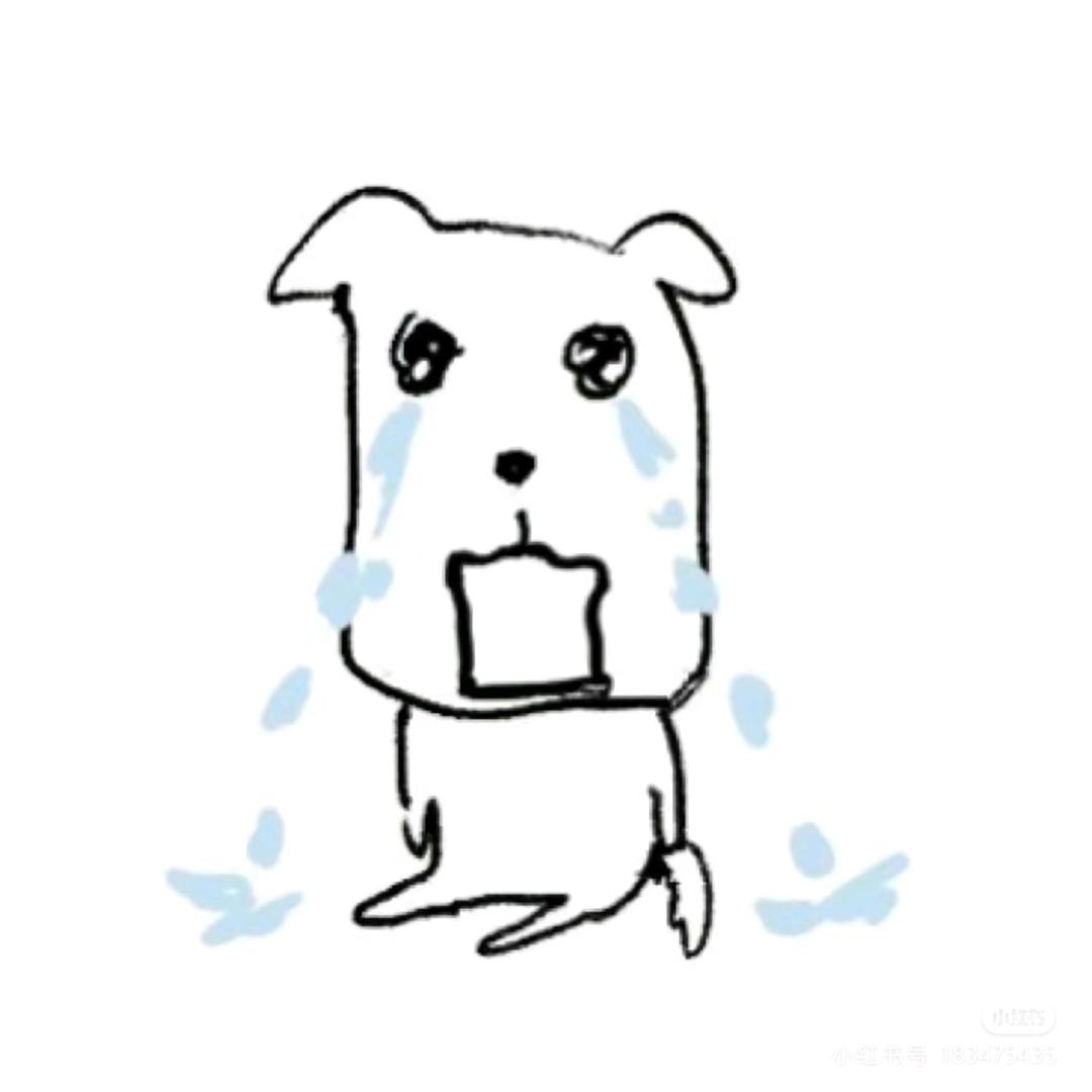 卡卡