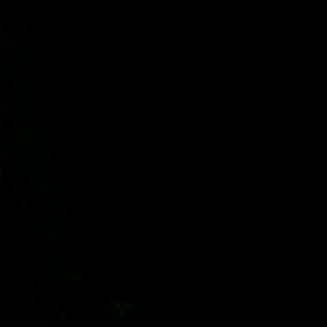 😊不发脾气只发财