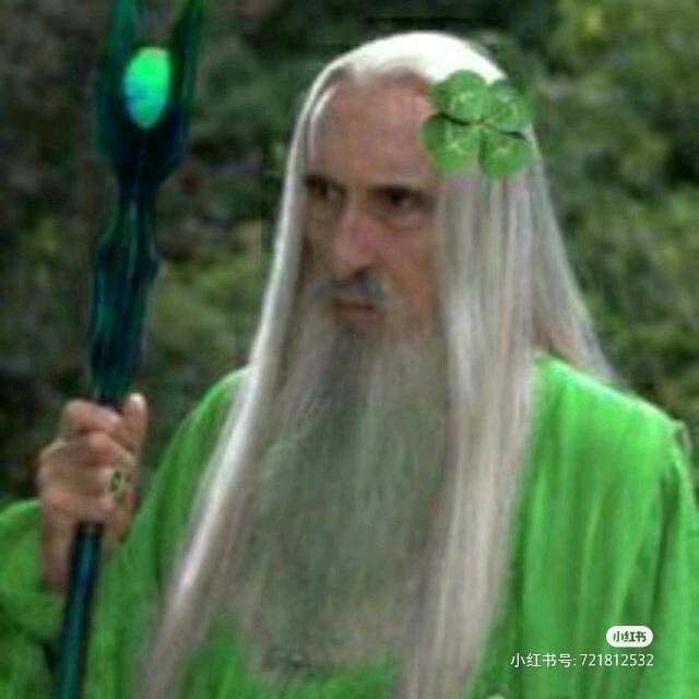 爱吃西瓜的爱丽丝