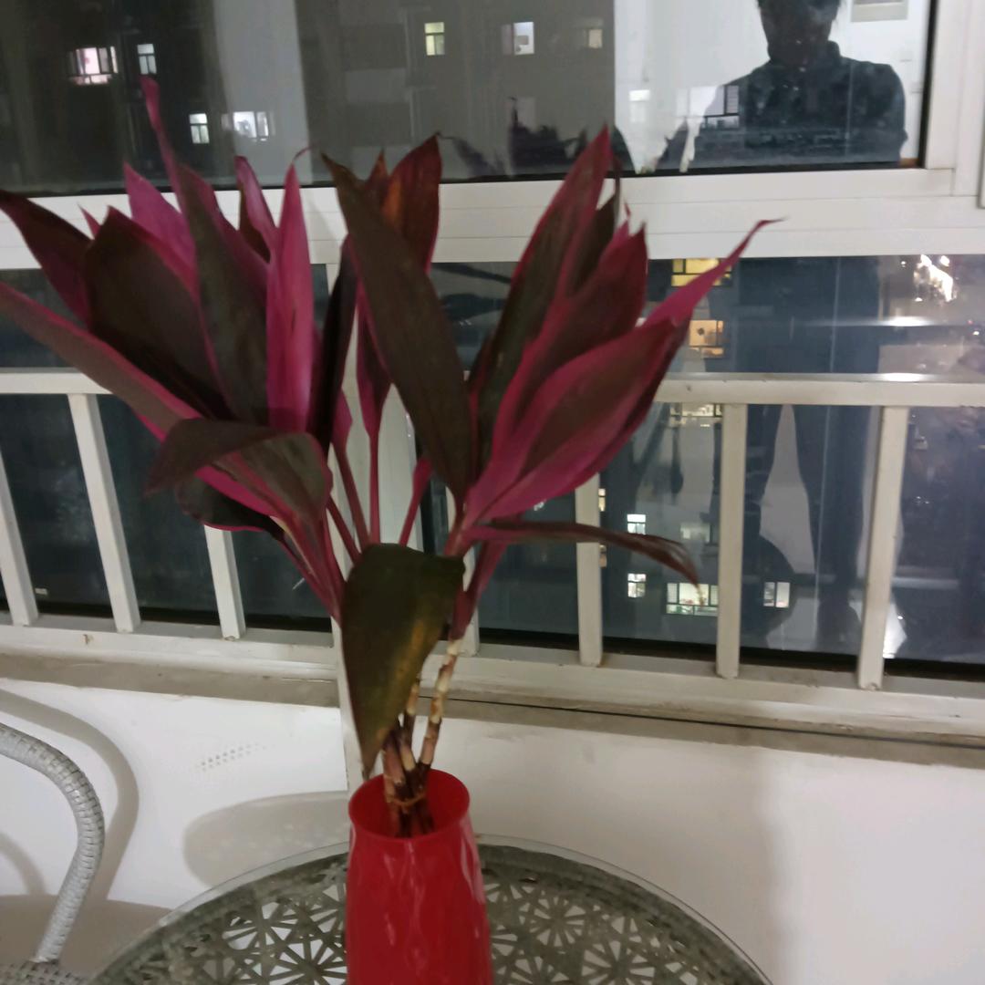 财源滚滚进我家