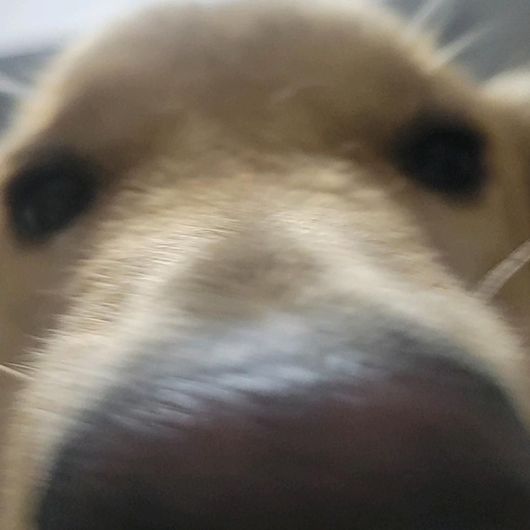 泡沫