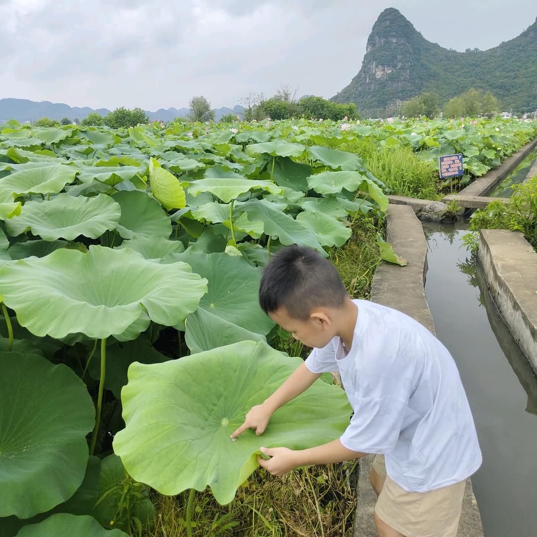 晚月
