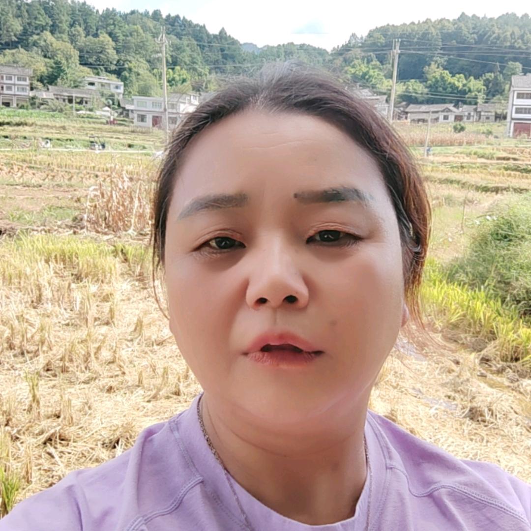 有情