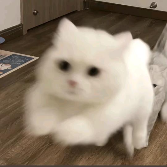 剑意通达