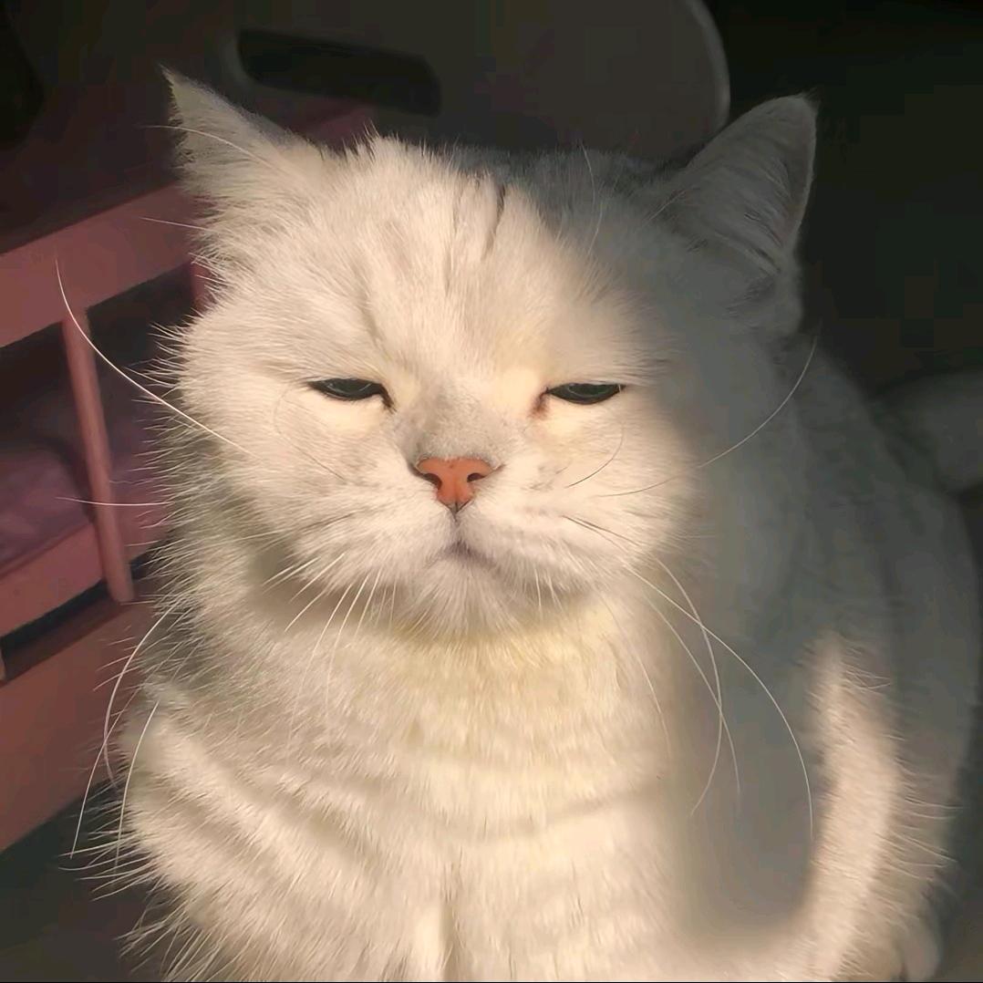 Ohh！