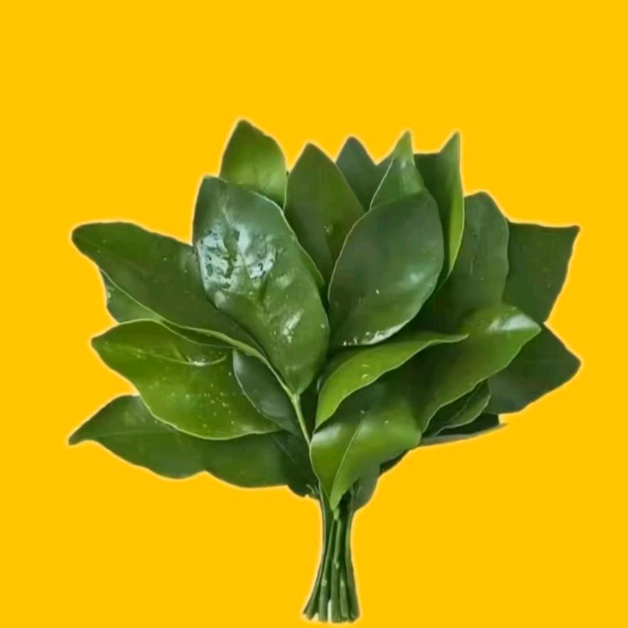 江江江～