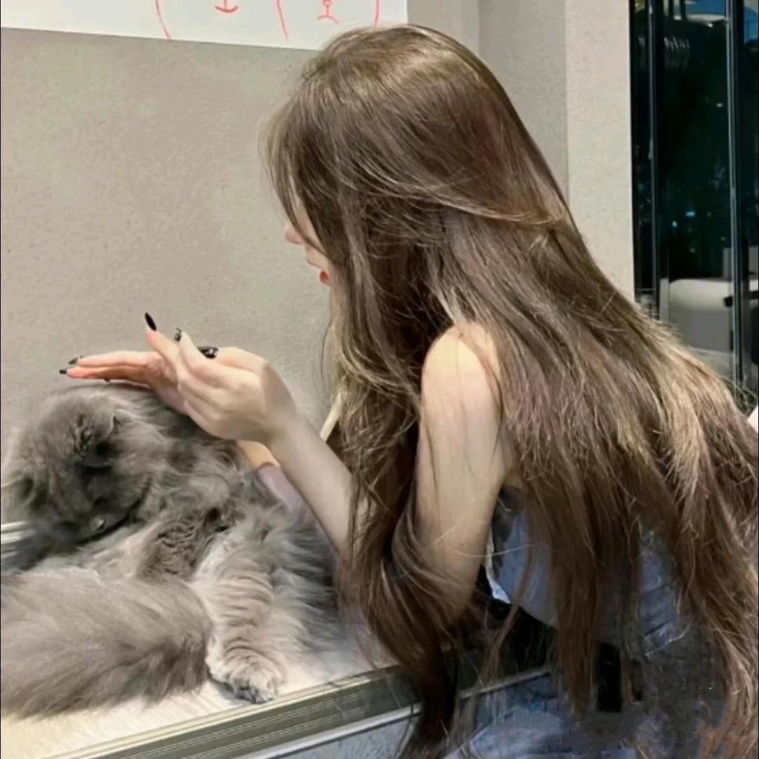啊狸~🐾