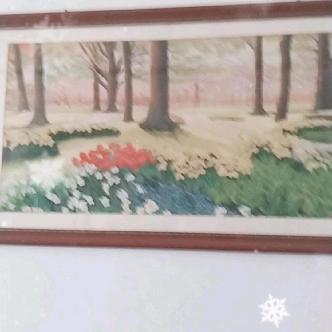 随缘