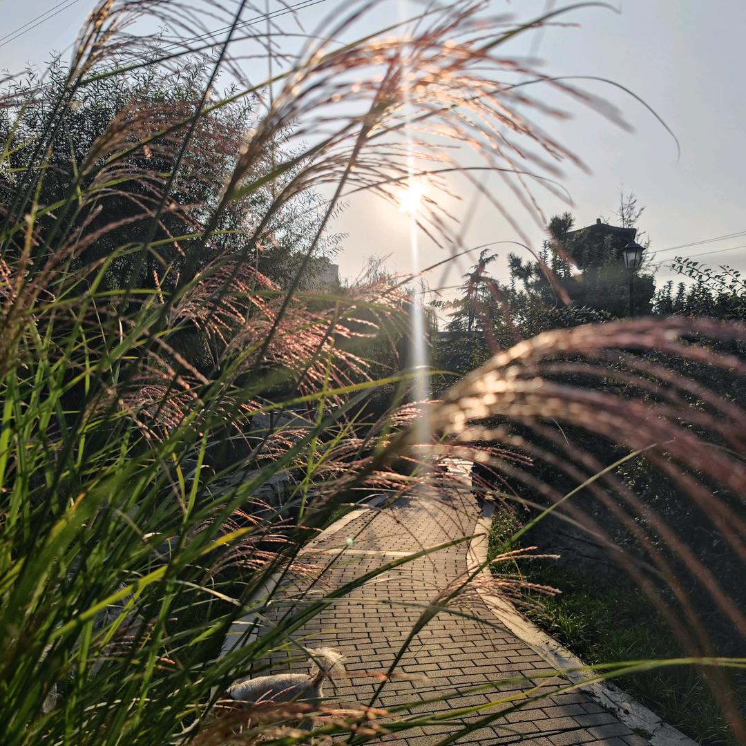 岁月留声