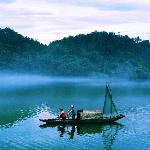 子默