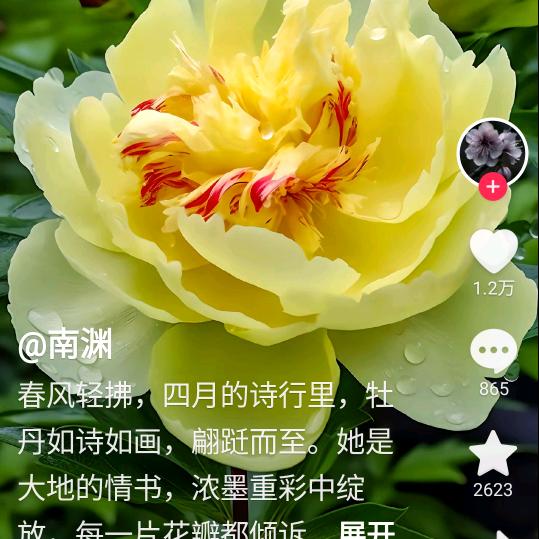用户179508927