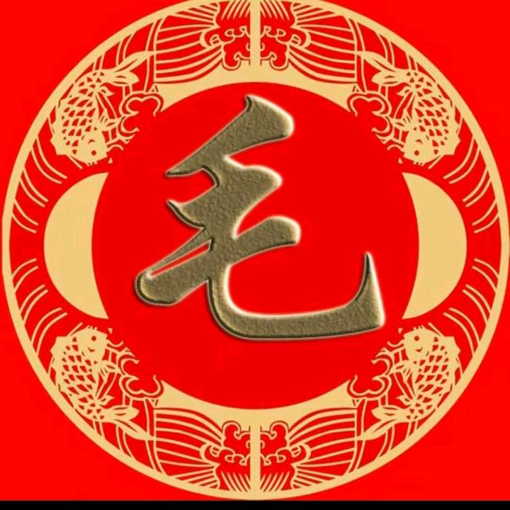 毛恩波头像