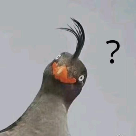 快乐的老年生活