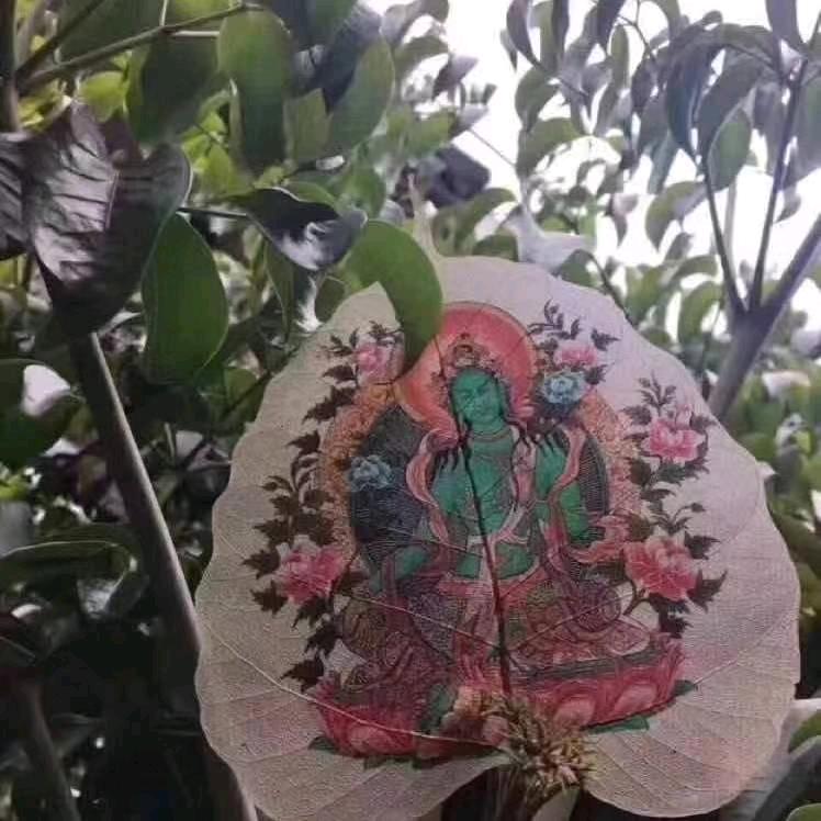 ༄༅།།།🦅SL