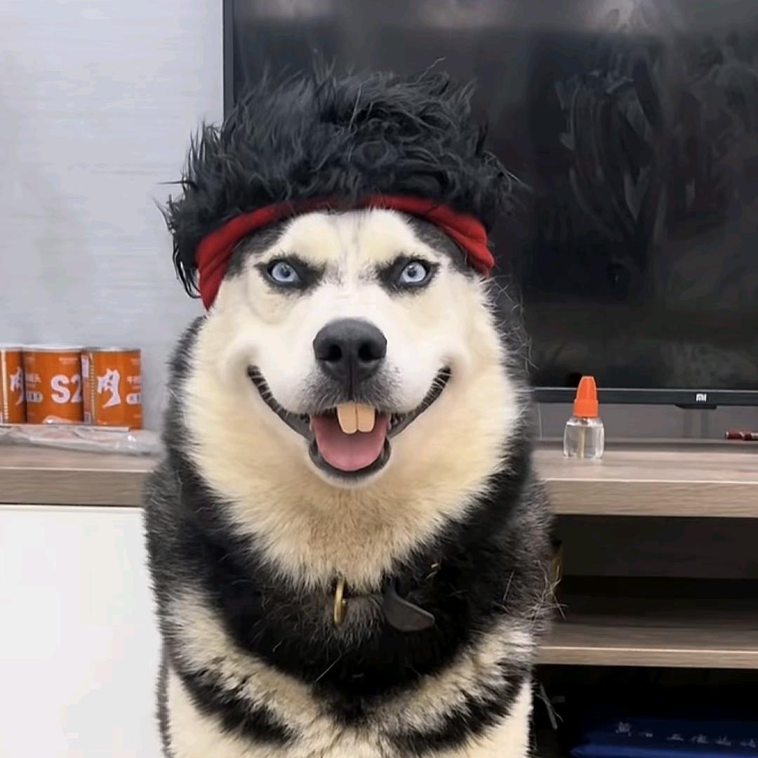 冒蓝火的加特林