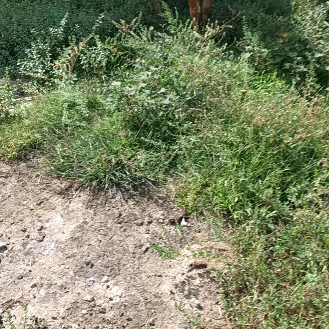 用户10999497李犬夜叉男