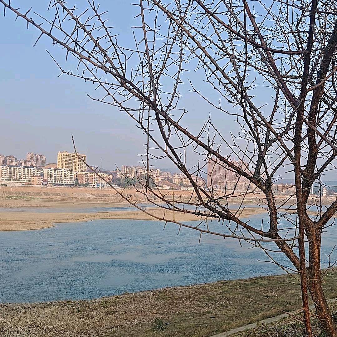 心海🌻