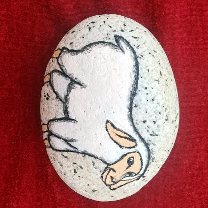 奋斗中的小虾米