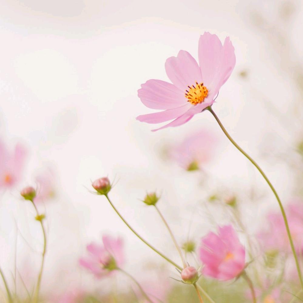 景德镇国民陶瓷