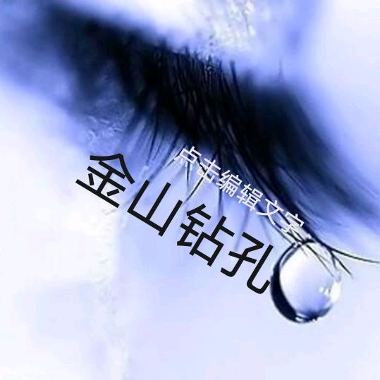 金山钻孔
