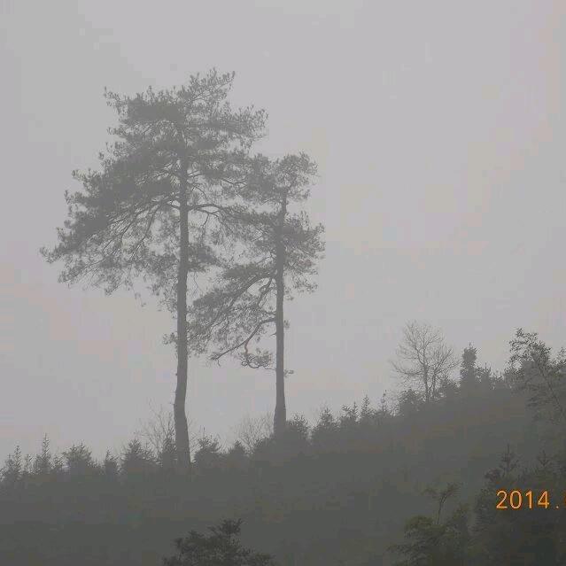 识食物者为俊杰