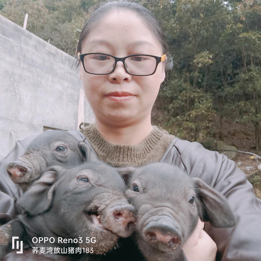 荞麦湾黑猪肉官方号