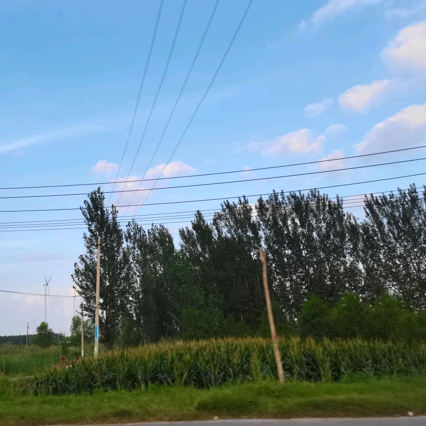 濮阳足力健添运店