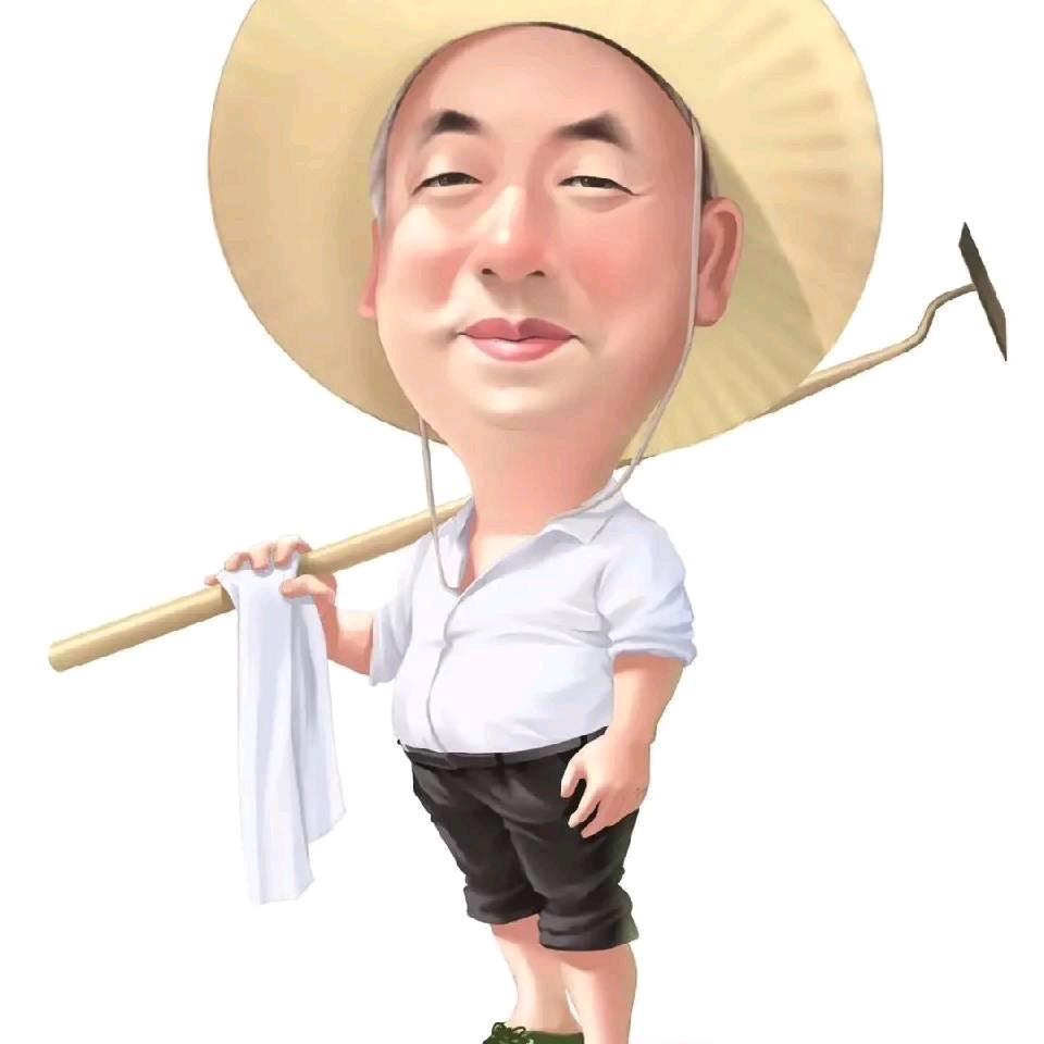 清雅生活用品优选