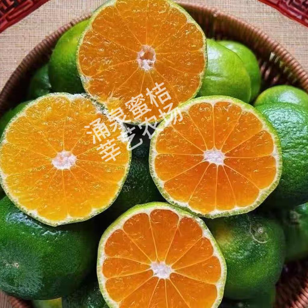莘艺果园臻选