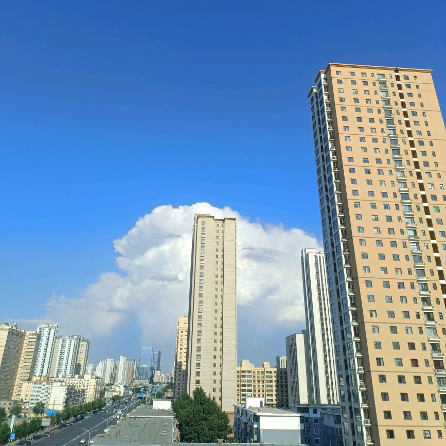 平头哥