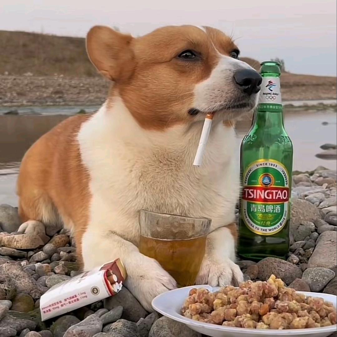 既然