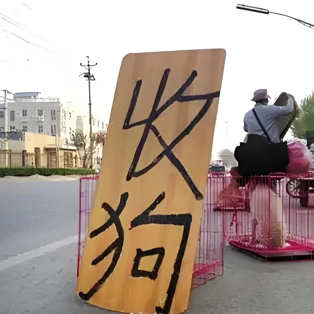 不会营销的老姚是养狗人