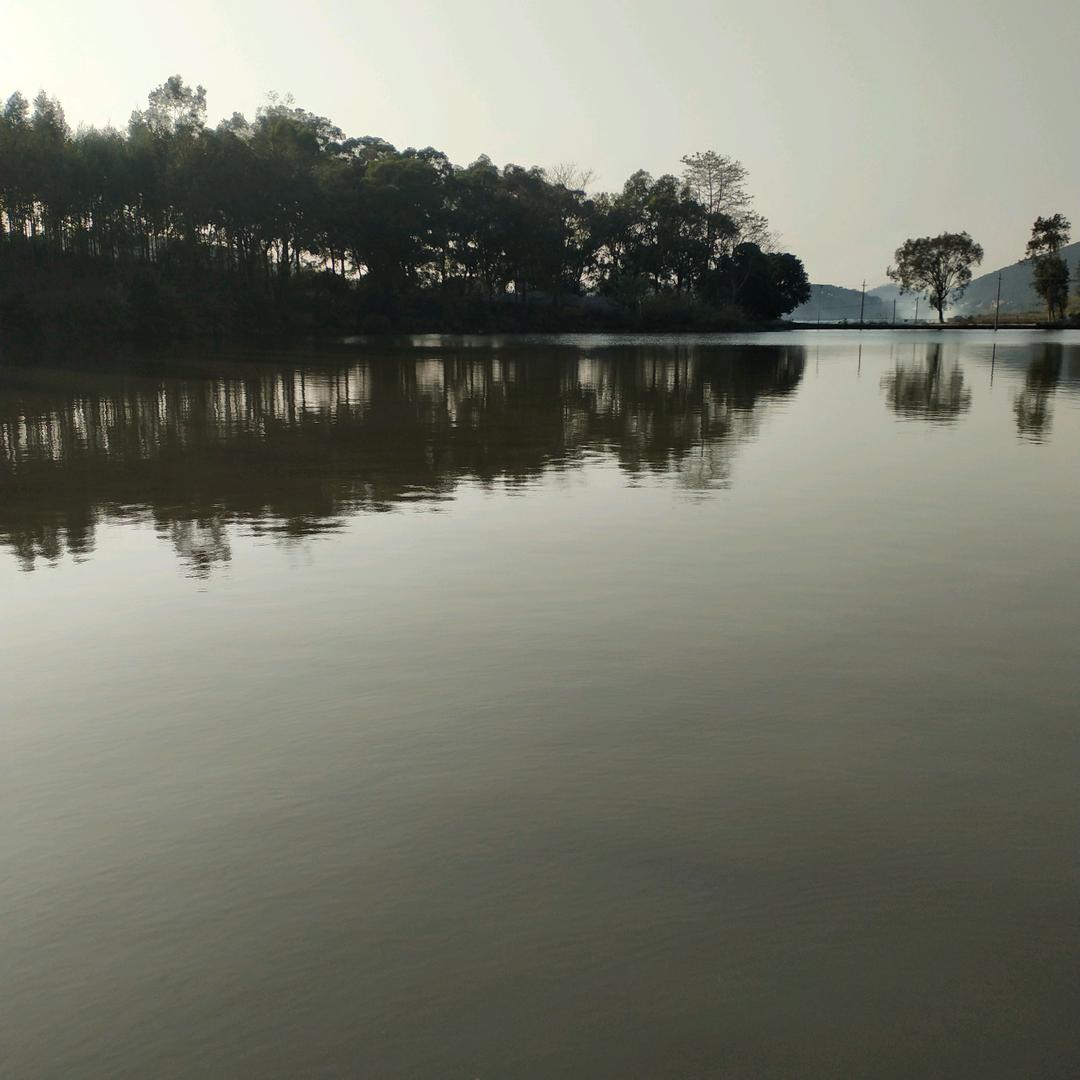 梦中有你