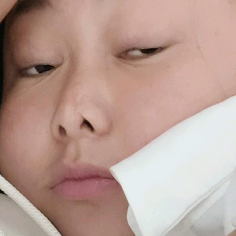 木易楊