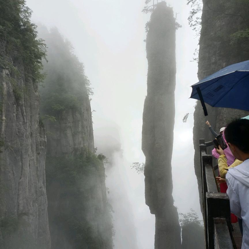 刚子好物甄选阁