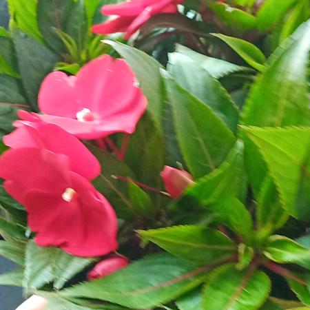 花开花落又是雨季