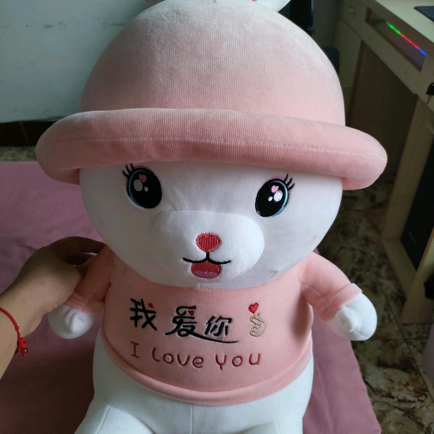 ꦿ᭄🕊     罗憨憨。