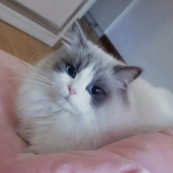 陈希