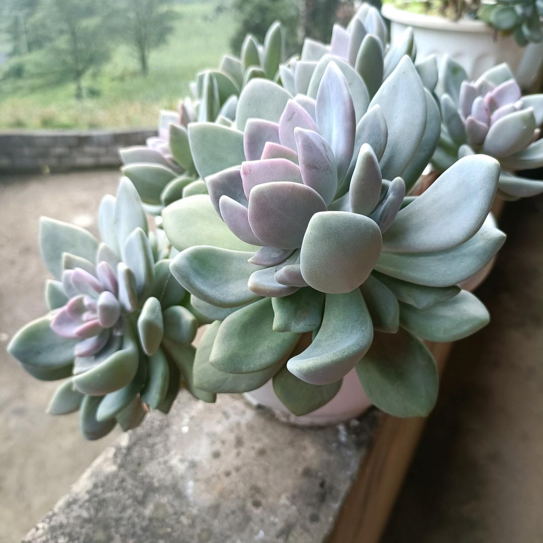 希望明天更美好