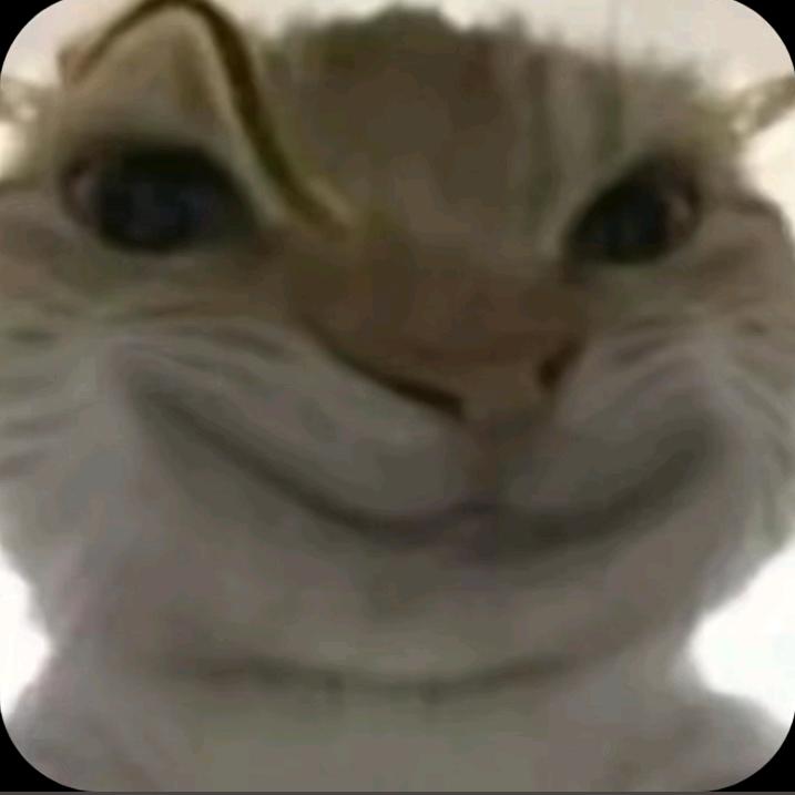 猫猫🩹