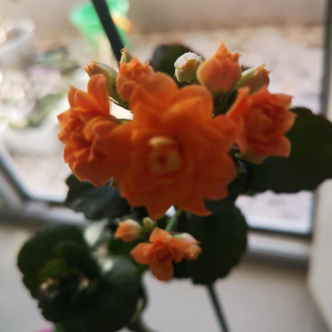 “文”来“运”转