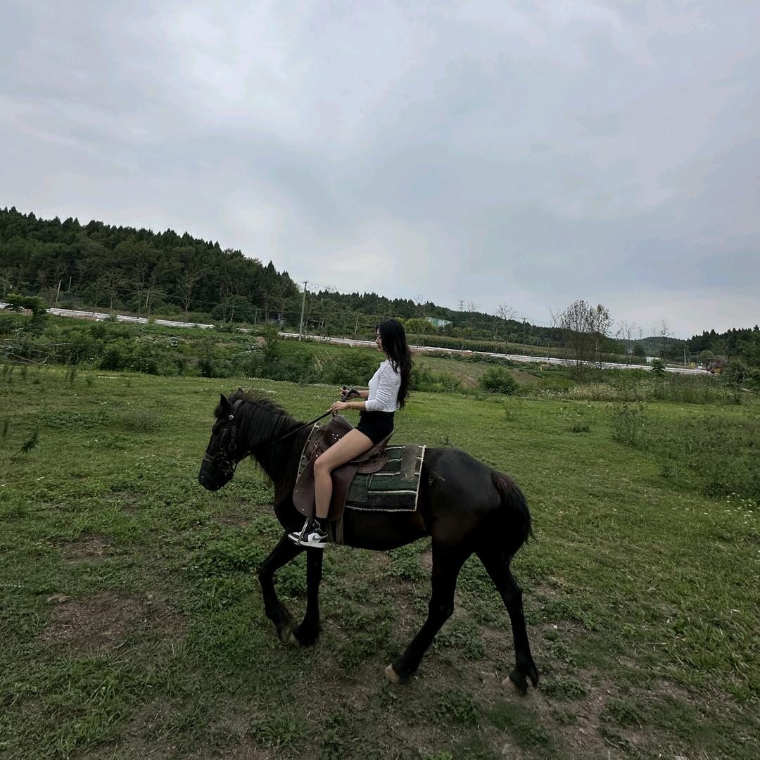 杨天仙🖤