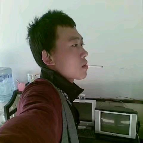 文文95543