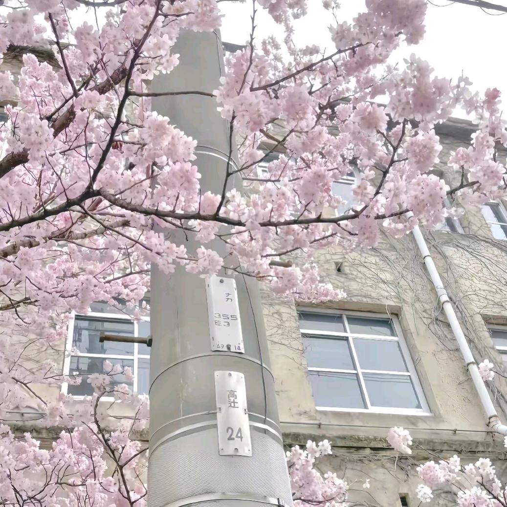 纱窗界的天花板