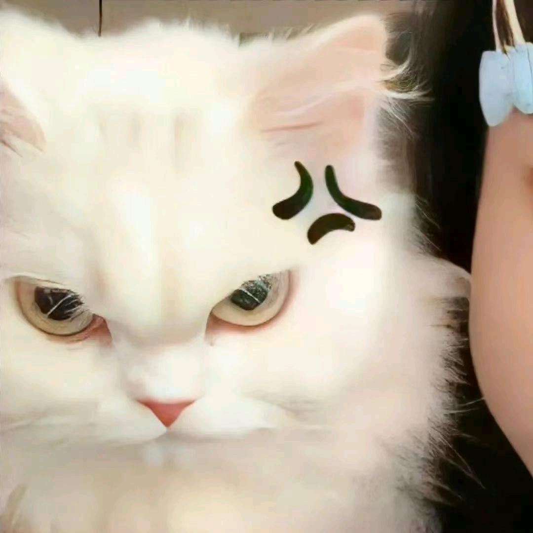 挚爱彤宝
