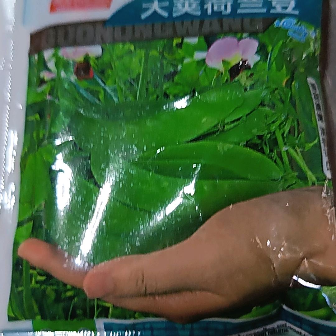 相遇是缘