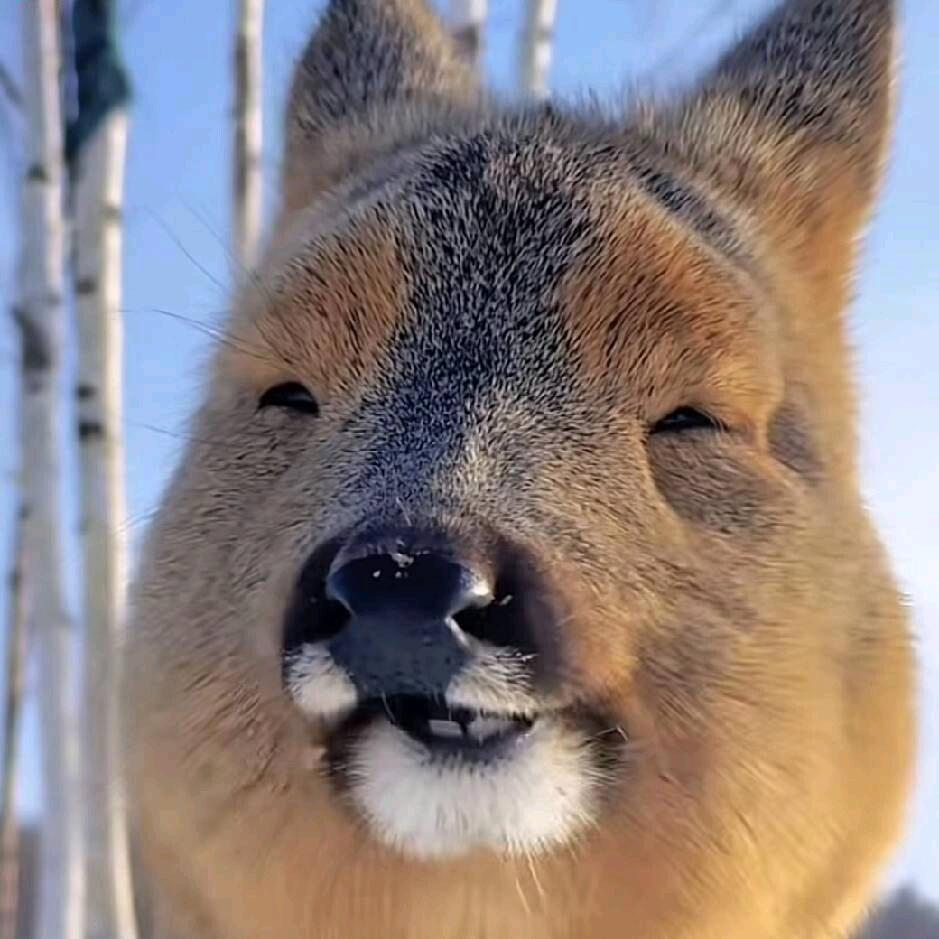 瘦瘦瘦